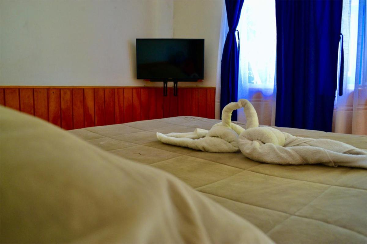 Hostal Michel Vicuna Exterior photo
