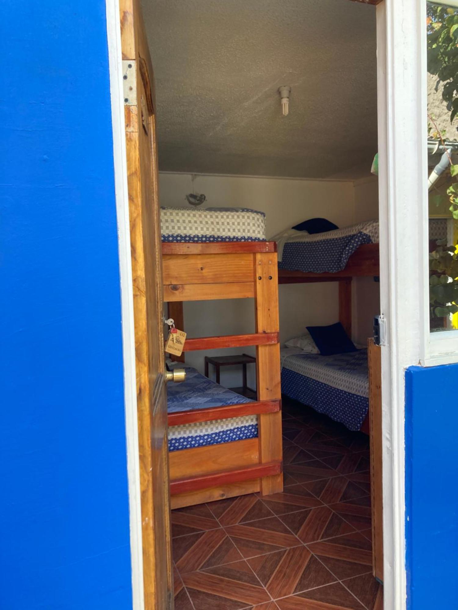 Hostal Michel Vicuna Exterior photo