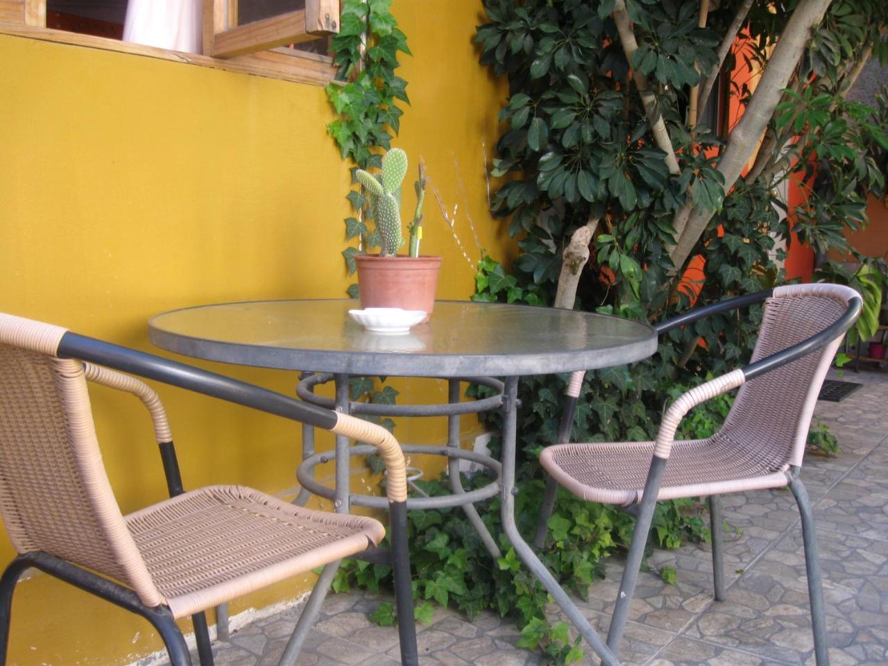 Hostal Michel Vicuna Exterior photo
