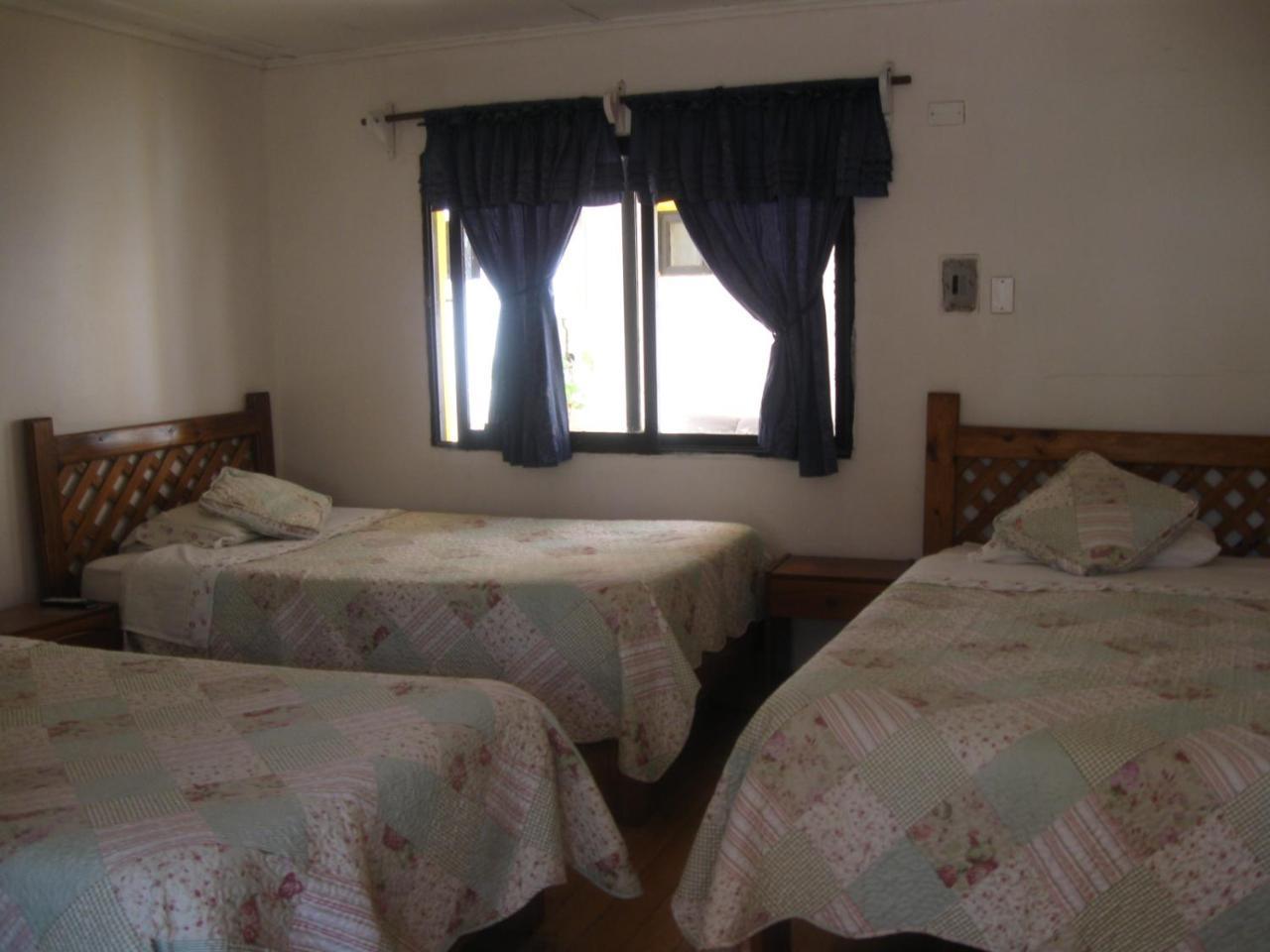 Hostal Michel Vicuna Exterior photo
