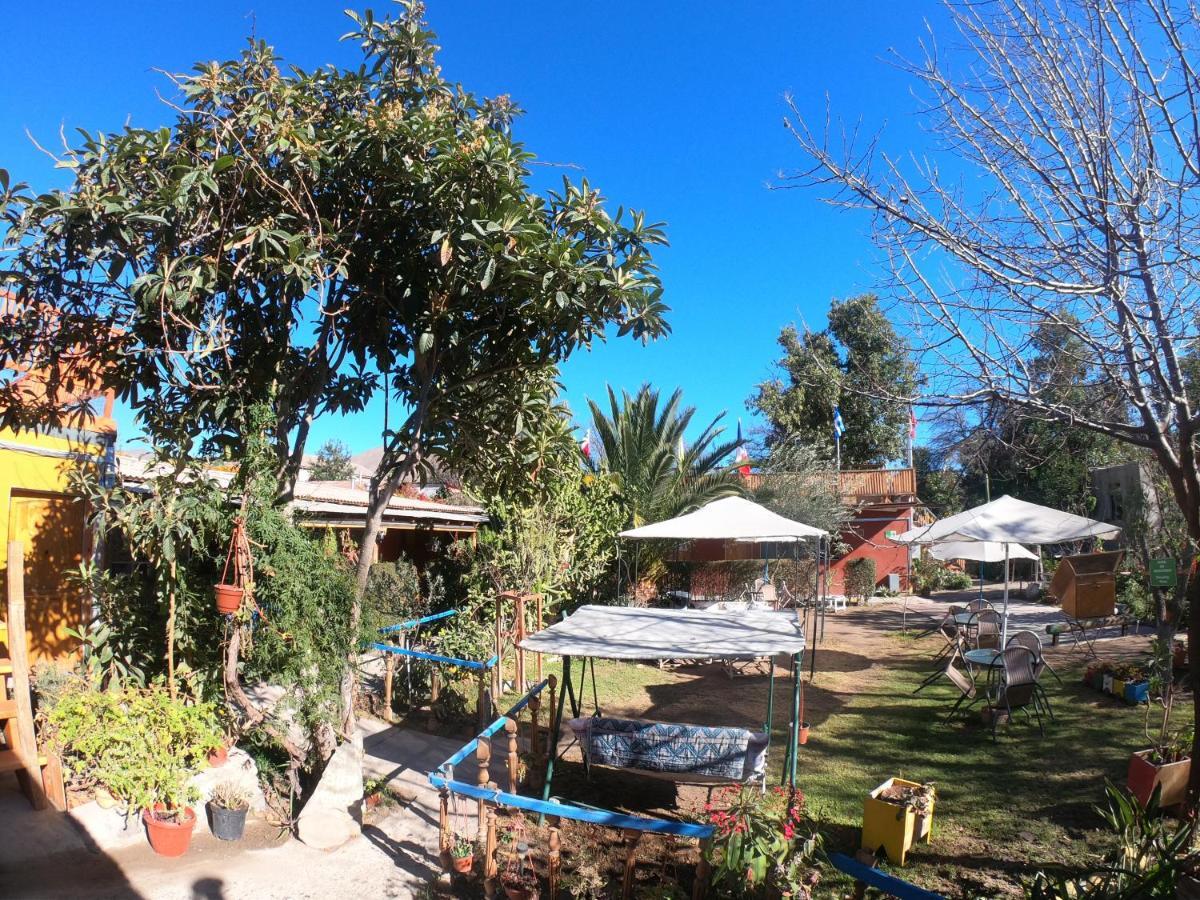 Hostal Michel Vicuna Exterior photo