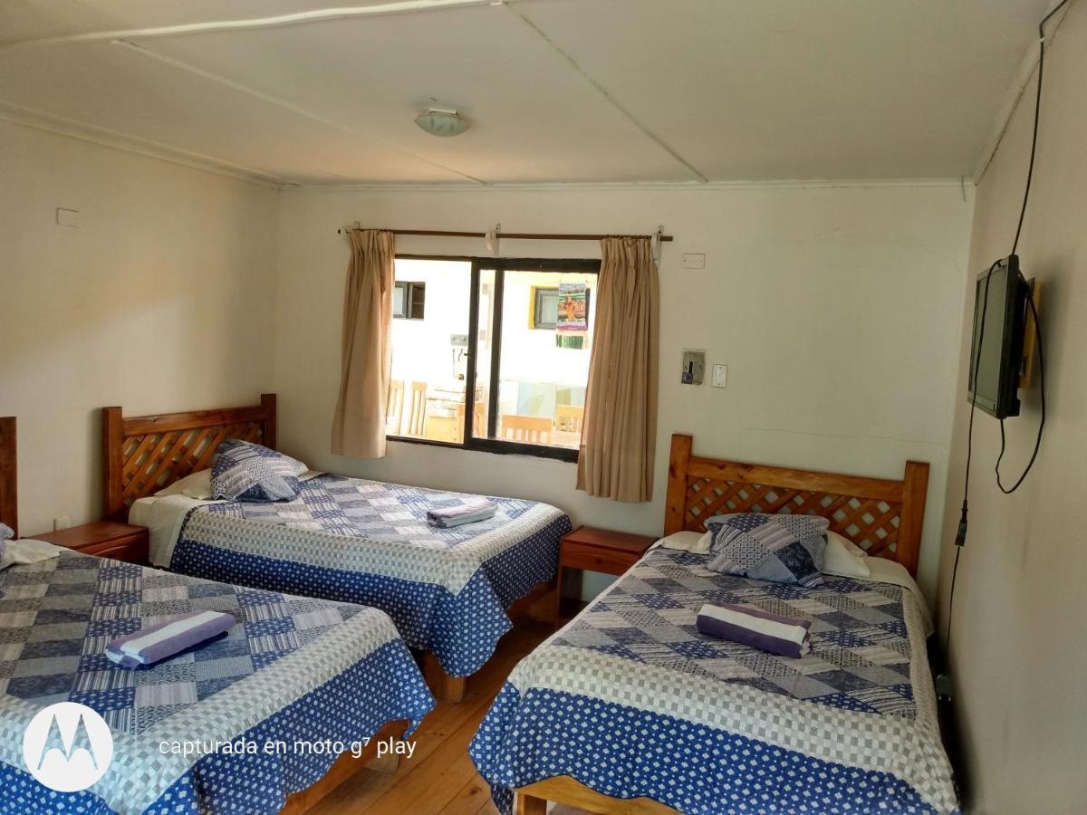 Hostal Michel Vicuna Exterior photo